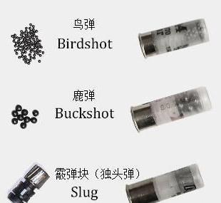 霰弹枪打实心弹时的射程如何?|武器|橡胶|弹丸|弹药|美军_新浪军事_新浪新闻