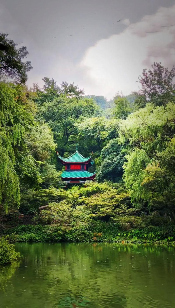 岳麓山,长沙赏花旅游的享受