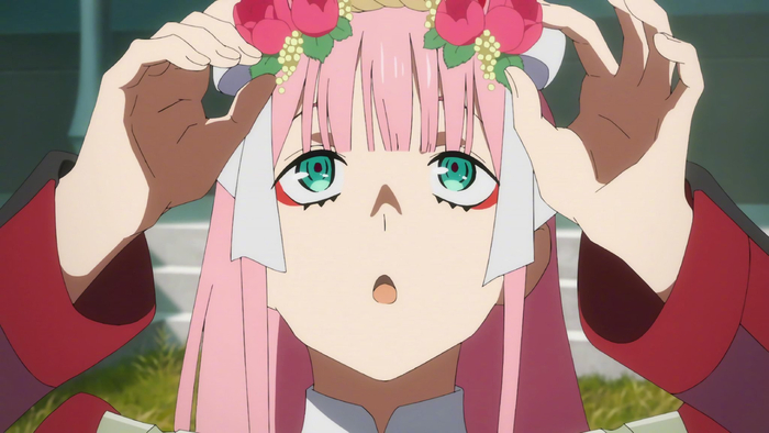 2月27日是darlinginthefranxx02的生日