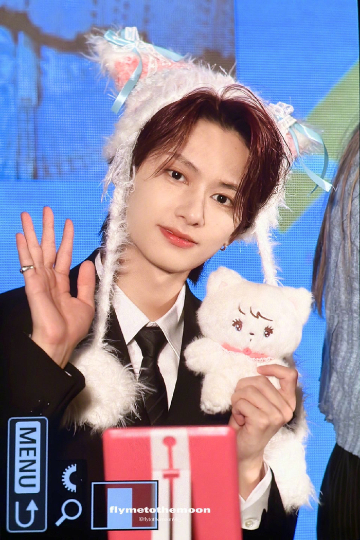 文俊辉!真的是猫! 猫好 特别特别可爱的小咪