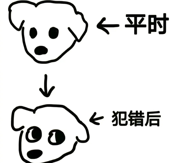 狗狗犯错统一表情