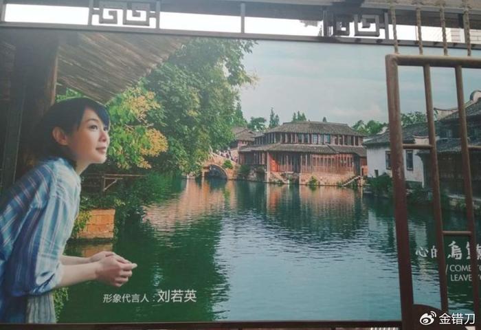 刘若英乌镇广告图片