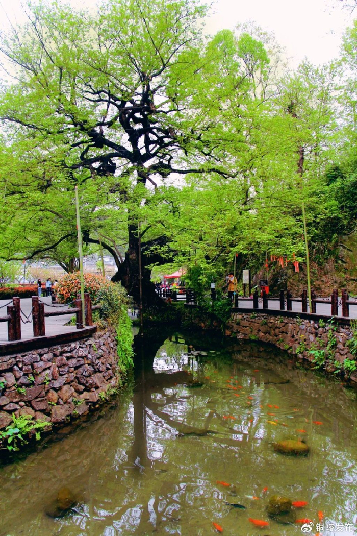 春游江淮请来铜陵丨就在4月10日共赴一场春天的约会