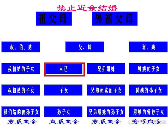 什麼是三代以內旁系血親關係?