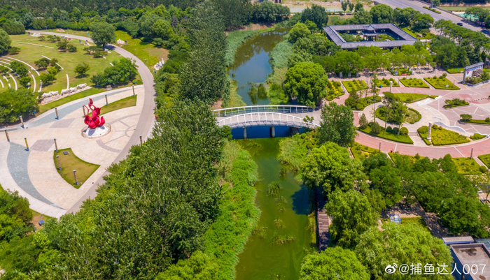 平阴玫瑰湖湿地玛钢公园__财经头条