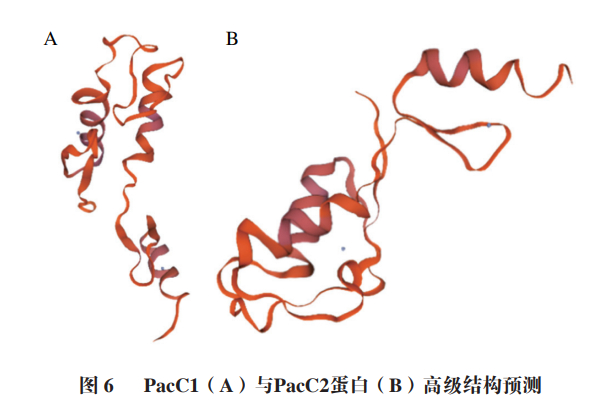 湘潭大学李路教授等:柑橘酸腐病菌pacc的生物信息学分析及其响应ph值