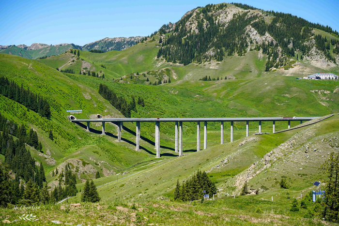 中国最土豪的大桥,全长700米,造价高达23多亿