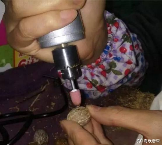 聊一聊紫金鼠的那些事