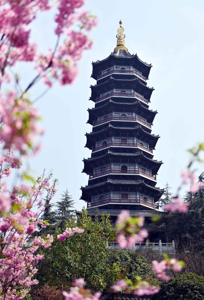 重庆市渝北区园博园繁花似锦|渝北区|园博园|打卡_新浪新闻