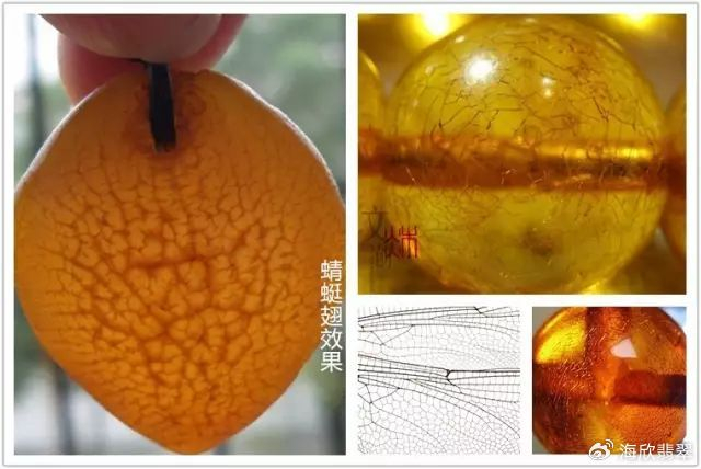 什么是鱼惊石