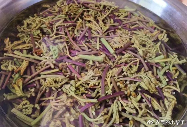 吃野生蕨菜有哪些好处?