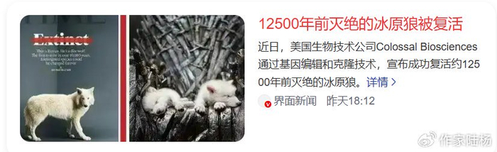 AI解读新闻:12500年前灭绝的冰原狼被复活|基因编辑|论文|科学|基因|生态_新浪新闻