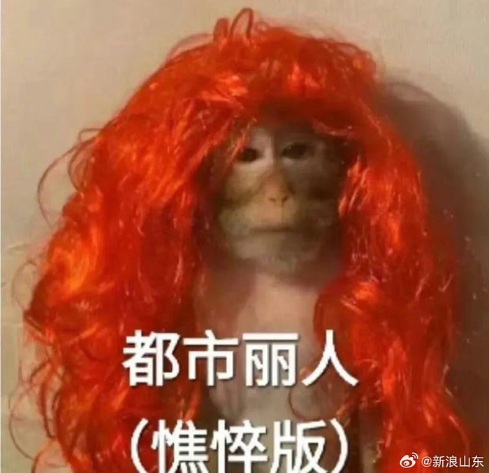 吗喽表情包真的好用,过于符合现代打工人的精神状态。 收着!__财经头条