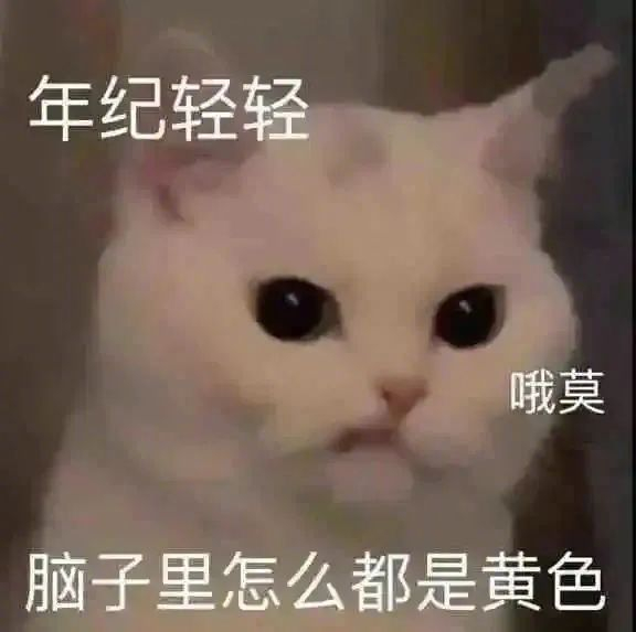 聊天搞笑表情包 | 臭宝贝在干嘛?