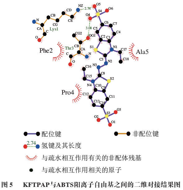 借助ligplot和pymol工具,观察i-1与abts阳离子自由基在二维与三维空间