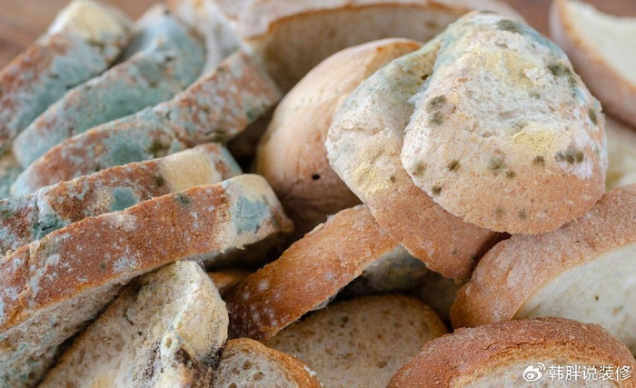 二,哪些东西会产生黄曲霉素?