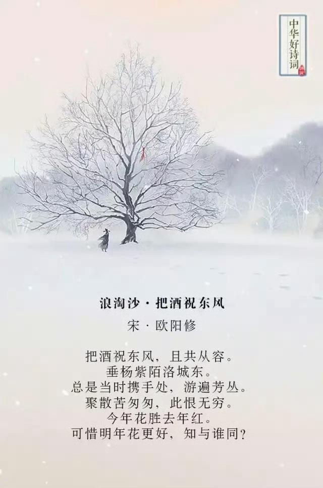 情不知所起的整首诗