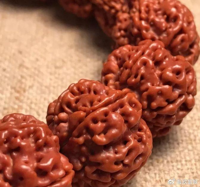 包含北京财经电视台理财栏目介绍金刚菩提的词条