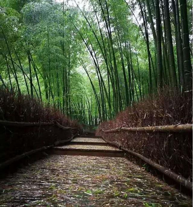 江西有个被五山环绕的古老铜都，是个好去处，只可惜知道的人不多