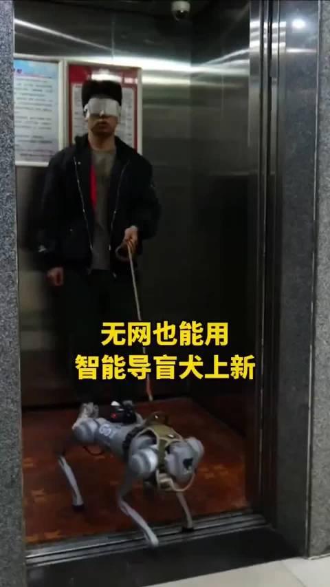 智能导盲犬图片