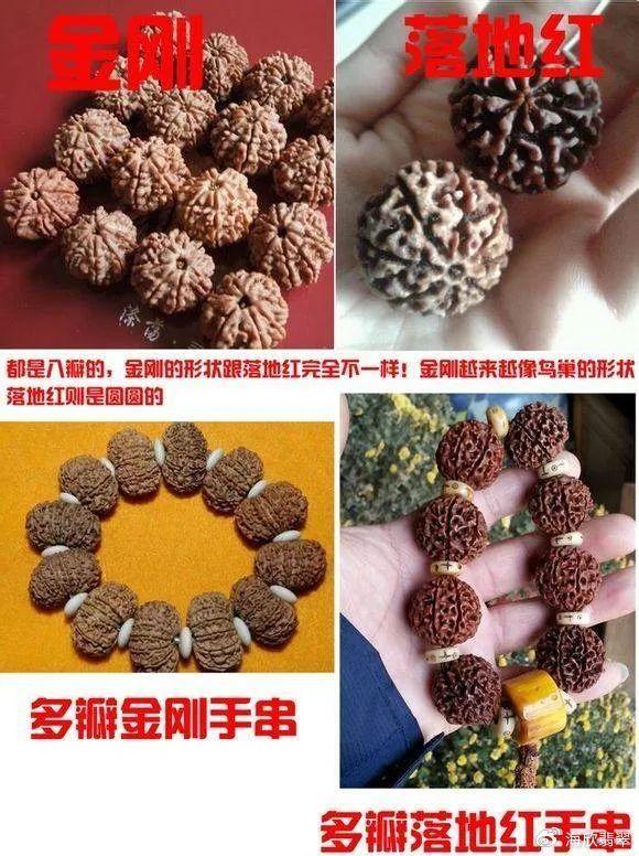 树脂金刚菩提子特点图片