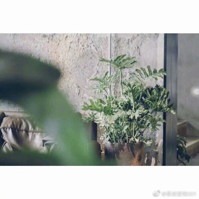 “改天是哪天,下次是哪次,以后是多久