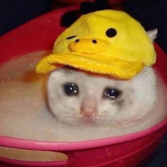 热门沙雕表情包