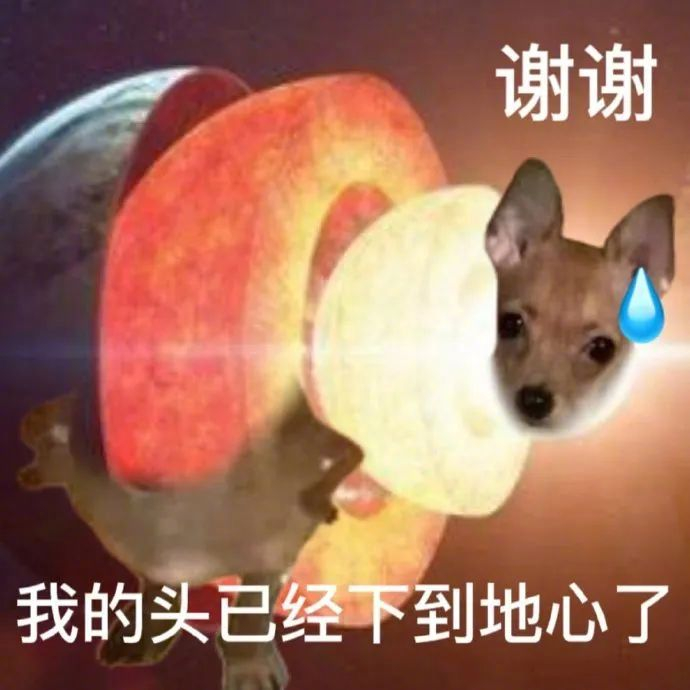 热门沙雕表情包
