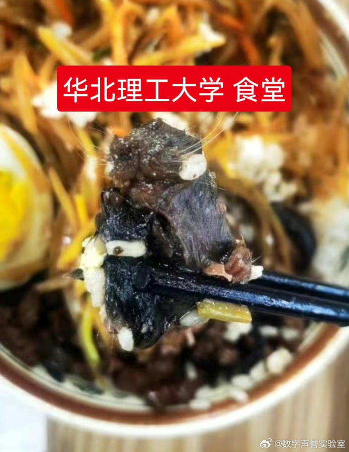 鼠头还是牛肉华北理工大学食品事件仍扑朔迷离