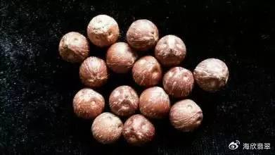 聊一聊紫金鼠的那些事|紫金|尺寸|钻头_新浪新闻