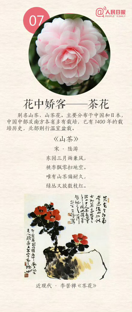中国传统十大名花 你都知道吗?