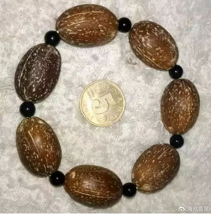 聊一聊紫金鼠的那些事