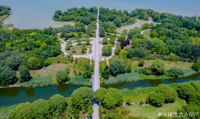 平陰玫瑰湖溼地瑪鋼公園__財經頭條