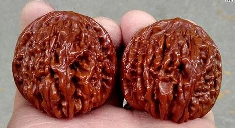 如何把玩出一对晶莹剔透的文玩核桃?|核桃|白茬|包浆_新浪新闻