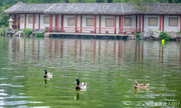 济南南郊宾馆七星湖图片