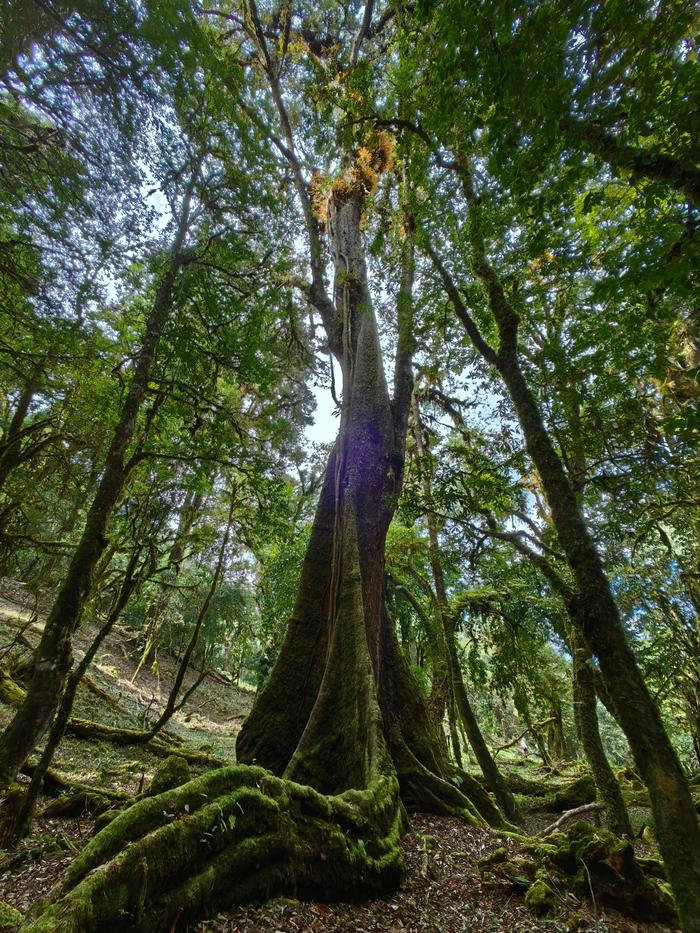 耿马风景图片