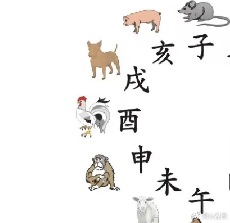 人生在世都有老的哪一天，来看看那个几个生肖晚年乐悠悠_http://www.mainten.cn_pe_第2张