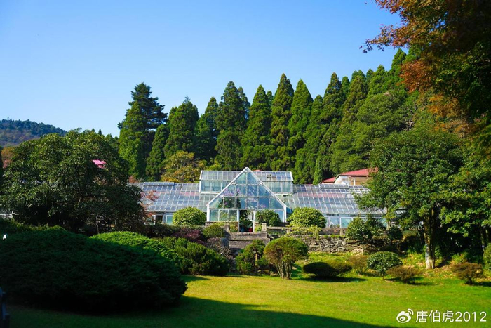庐山植物园,百花争艳