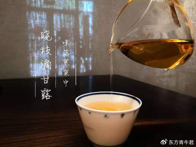 古茶诗词解析：雄视百代苏轼系列之七《浣溪沙·细雨斜风作晓寒》__财经头条