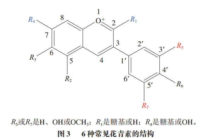 自然条件下花青素很少游离存在,而是常与糖类通过糖苷键形成花色