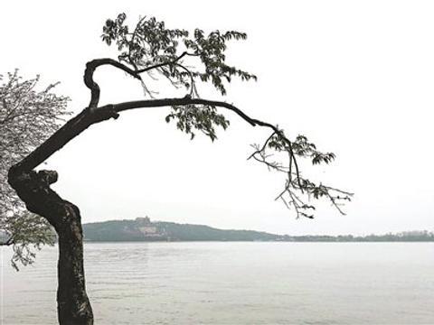 足够坚毅才能一直浪漫