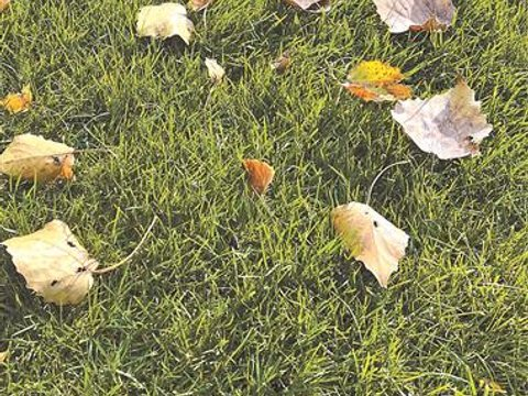 我们俩的半生缘