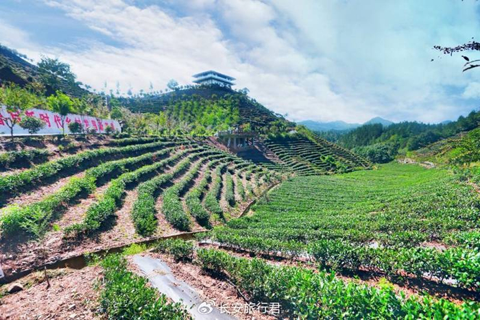 商南康养旅游推介会走进西安 发出爱意满满的邀请|南康|商南|商南县