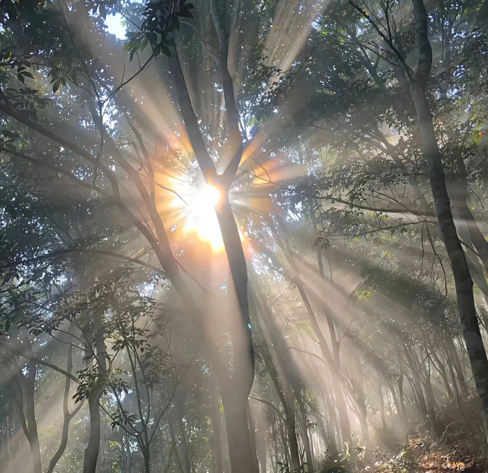 当丁达尔效应发生光就有了形状