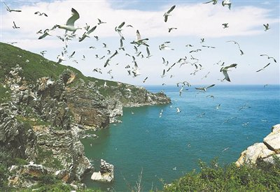 蛇岛-老铁山候鸟栖息地 列入世界自然遗产名录|名录|大连市|栖息地