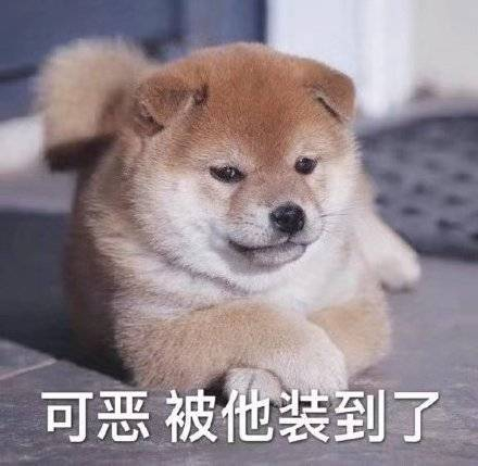 表情包 | 被指到的人 替我上班