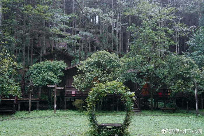 恩施坪坝营:有着神秘北纬30°原始森林,更藏着洞中