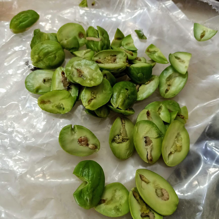 据说这是一道泰国餐的上好食材臭豆