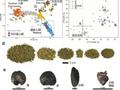 跨越四千年：探秘青藏高原湖畔的生命史诗（下）