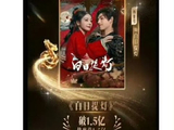 《白日提灯》目前的口碑和播放数据怎么样？